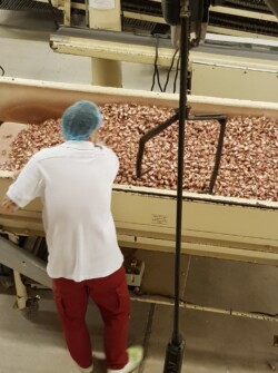 ajr visite bêtises de cambrai