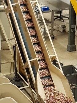 ajr visite bêtises de cambrai