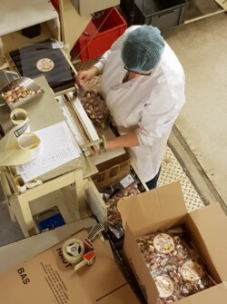 ajr visite bêtises de cambrai