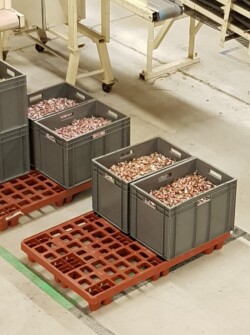 ajr visite bêtises de cambrai