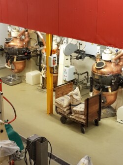 ajr visite bêtises de cambrai