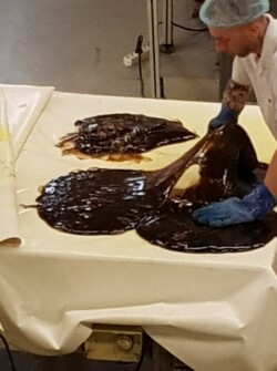 ajr visite bêtises de cambrai