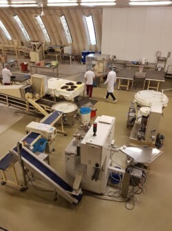 ajr visite bêtises de cambrai