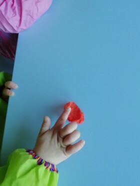Des coquelicots à la crèche !