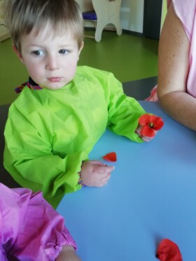 Des coquelicots à la crèche !