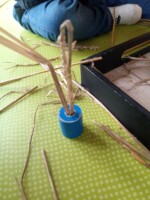 micro creche cabane de seraphin été 2021 la nature