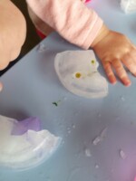 micro creche cabane de seraphin été 2021 la nature