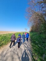 Marche Bleue à Séranvillers-Forenville 2022