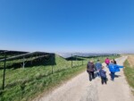 Marche Bleue à Séranvillers-Forenville 2022