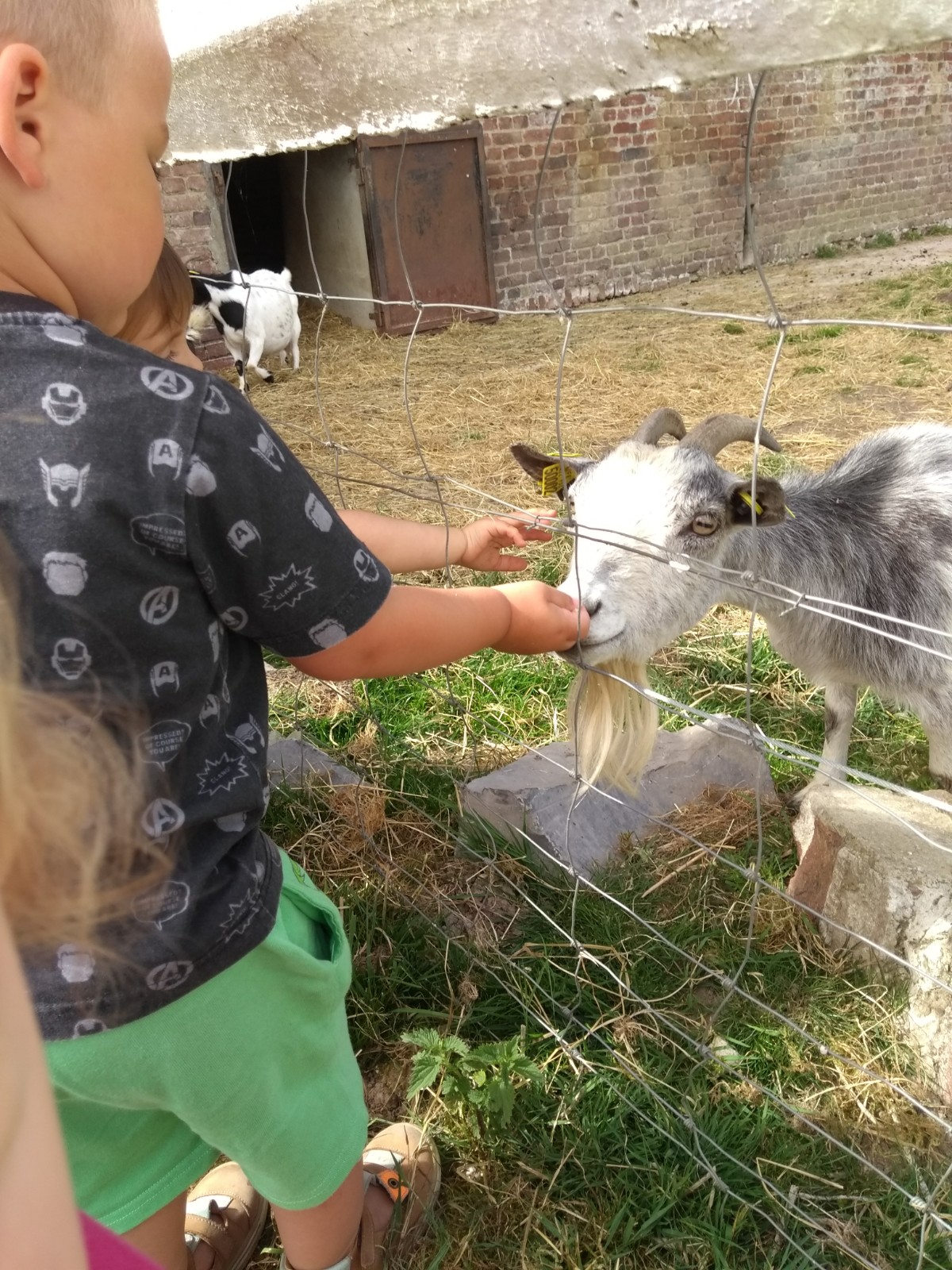 Abbaye Guillemins Crèche