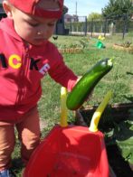 potager micro creche cabane seraphin