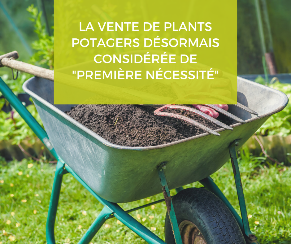 La vente de plants potagers désormais considérée de _première nécessité_