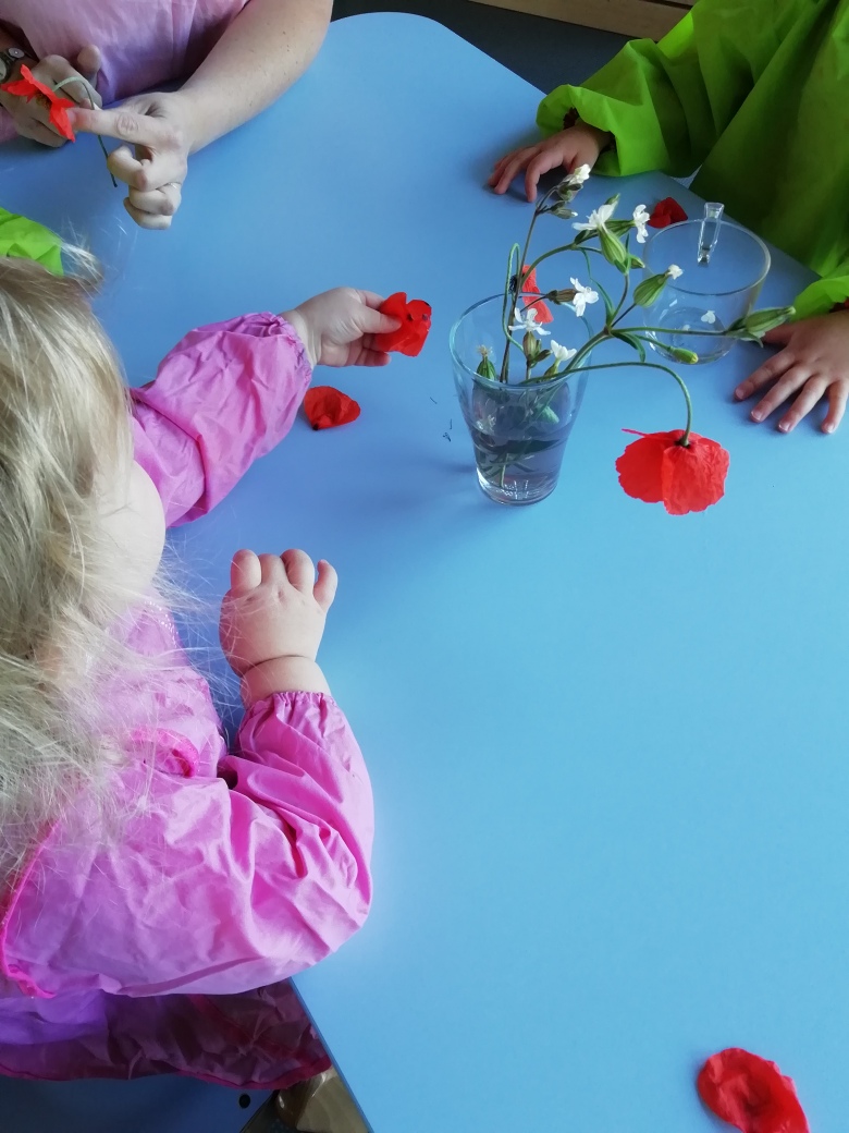 Des coquelicots à la crèche !