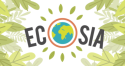 ecosia moteur recherche écolo