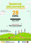 Marche découverte