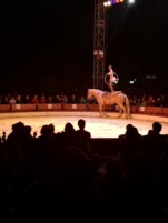 Vacances hiver jeune activités ajr