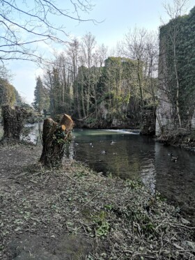 Club Marche Club Marche