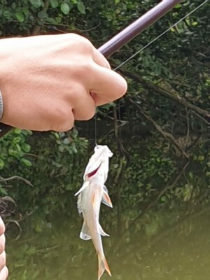 journée pêche à l'étang