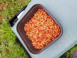 journée pêche à l'étang