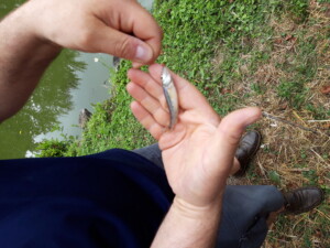 journée pêche à l'étang
