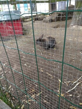 Abbaye Guillemins Crèche