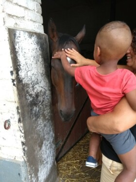 Abbaye Guillemins Crèche
