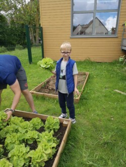 Potager AJR