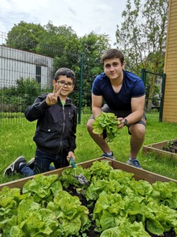 Potager AJR
