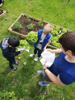 Potager AJR