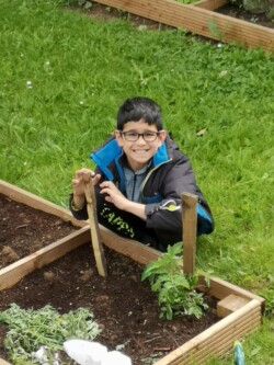 Potager AJR