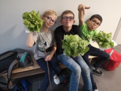 Potager AJR