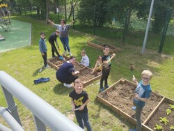 Potager AJR
