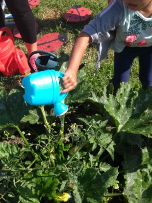 potager micro creche cabane seraphin