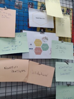projet habitant citoyennete ajr centre social