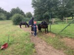 sortie en famille poney val de riot
