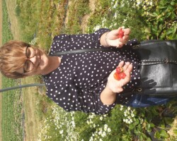 tronquoy cueillette vacances ajr fruits et légumes