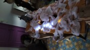 théâtre, escape game, patinoire, halloween,...