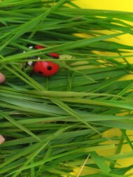 manipulation nature micro creche niergnies