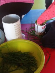 manipulation nature micro creche niergnies