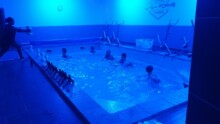 aquagym acquaforme cambrai ajr ligue contre le cancer