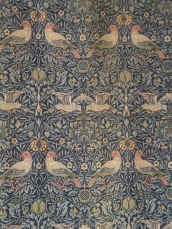 Sortie au musée pour le groupe Anglais