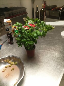 Cuisine diététique sur votre EVS à Thun l'Évêque