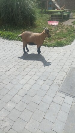 etour sur la passionnante réunion d'information "Comment devenir administrateur des EVS"