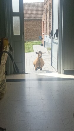 etour sur la passionnante réunion d'information "Comment devenir administrateur des EVS"